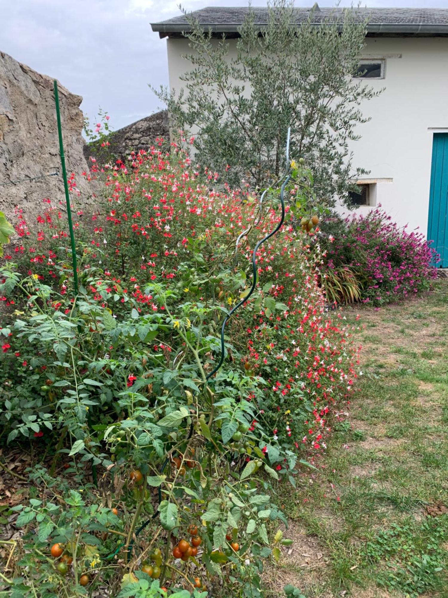 Chambre D'Hotes Les Petits Oiseaux Nantes Exterior foto